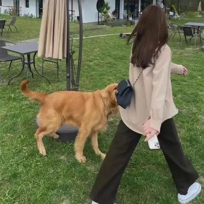 家和万事兴之抬头见喜